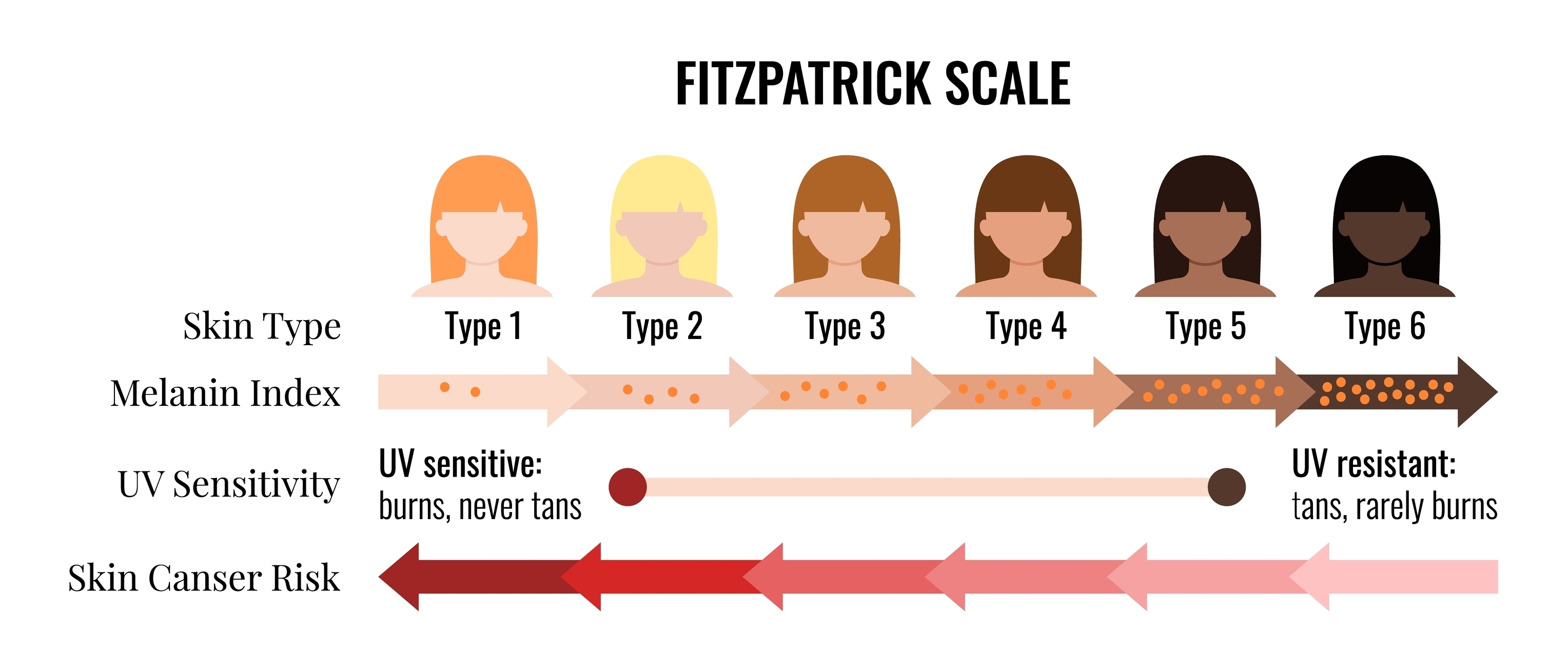 Fitzpatrick skin tone scale phototype melanin index with female avatar. Chart element with type I II III IV V IV human skin hair color melanin content in the cell cancer risk flat vector illustration